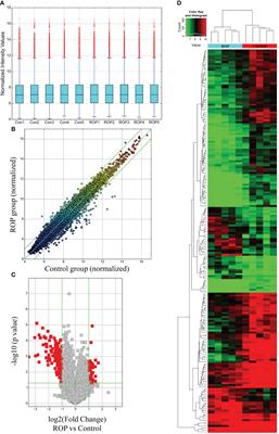 Potential biomarkers for retinopathy of prematurity identified by circular RNA profiling in peripheral blood mononuclear cells